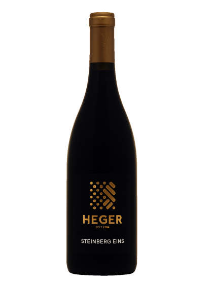 steinberg1